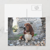 Briefkaart Basset Hound Castle Ruin Visit (Voorkant / Achterkant)