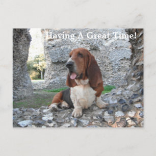 Briefkaart Basset Hound Castle Ruin Visit