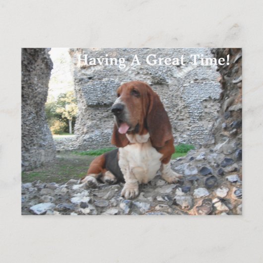 Briefkaart Basset Hound Castle Ruin Visit (Voorkant)