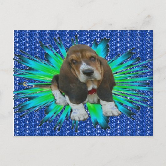 Briefkaart Basset Hound Sheldon (Voorkant)