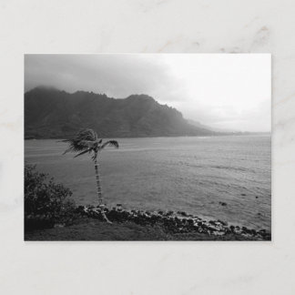 briefkaart "Beach Front"