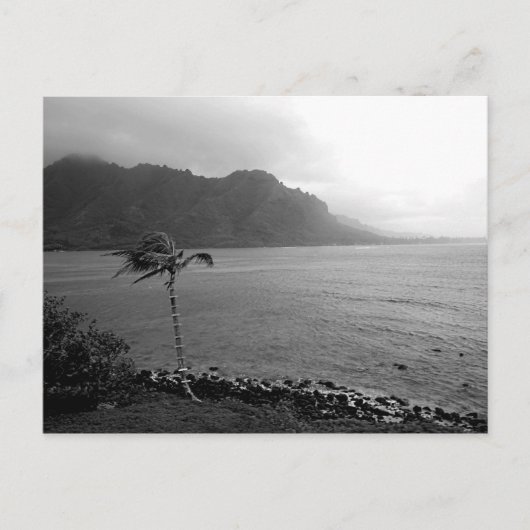 briefkaart "Beach Front" (Voorkant)