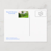 briefkaart, "BEAUTIFUL BARBADOS COUNTRYSIDE (FOTOG Briefkaart (Achterkant)