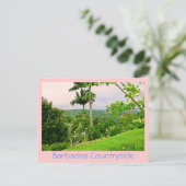 briefkaart, "BEAUTIFUL BARBADOS COUNTRYSIDE (FOTOG Briefkaart (Staand voorkant)