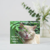 Briefkaart Beauty Quote - Starring Beast - Kat (Staand voorkant)
