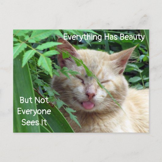 Briefkaart Beauty Quote - Starring Beast - Kat (Voorkant)