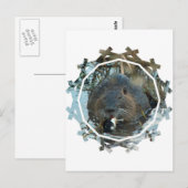 Briefkaart Beavers Habitat (Voorkant / Achterkant)