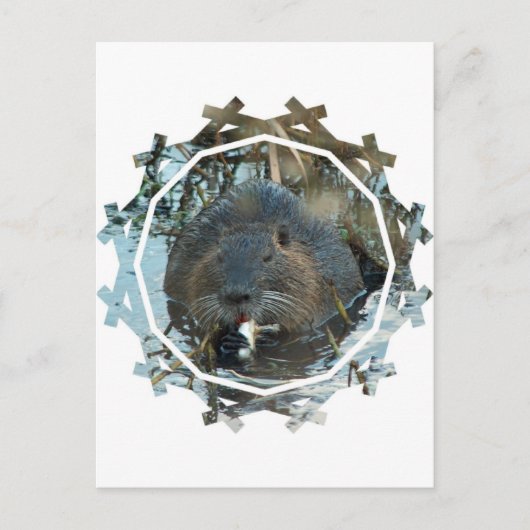 Briefkaart Beavers Habitat (Voorkant)