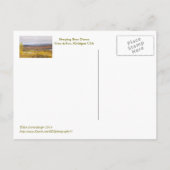 briefkaart "BEER DUNES" (MICHIGAN) (Achterkant)