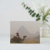 briefkaart "Beer in Egypte" (Staand voorkant)