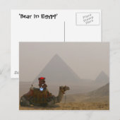 briefkaart "Beer in Egypte" (Voorkant / Achterkant)