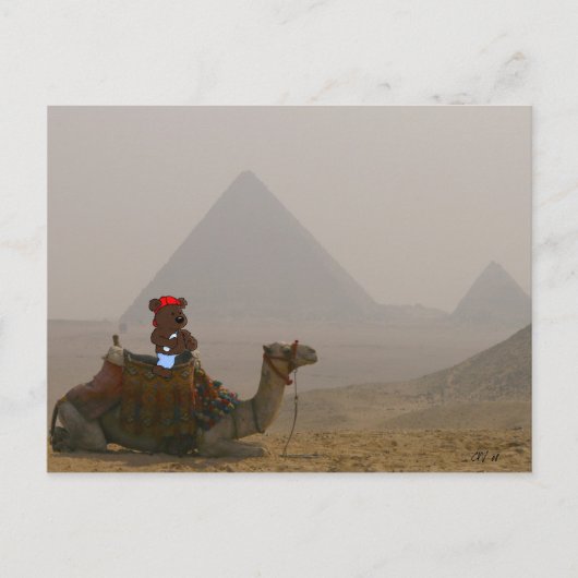 briefkaart "Beer in Egypte" (Voorkant)
