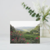 Briefkaart Beersheba Springs (Staand voorkant)