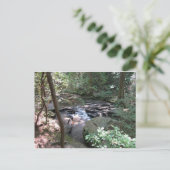 Briefkaart Beersheba Springs (Staand voorkant)