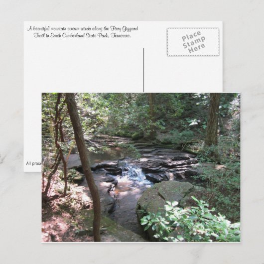 Briefkaart Beersheba Springs (Voorkant / Achterkant)