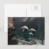 Briefkaart beheren (Voorkant / Achterkant)