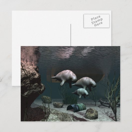 Briefkaart beheren (Voorkant / Achterkant)