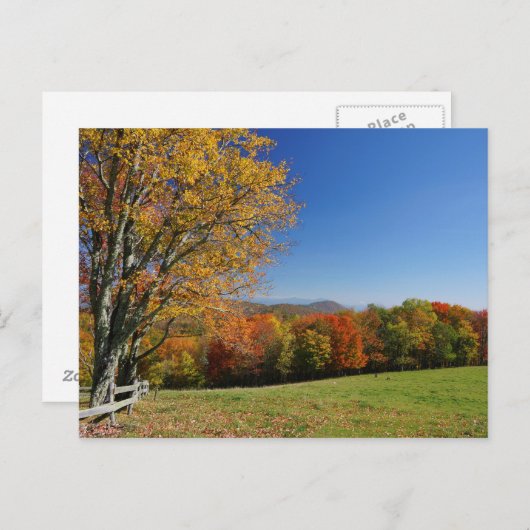 Briefkaart bergweide (Voorkant / Achterkant)