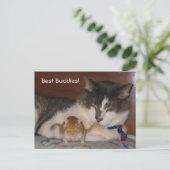 Briefkaart Beste Boeddies (Staand voorkant)