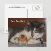 Briefkaart Beste Boeddies (Voorkant / Achterkant)