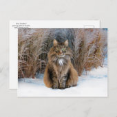 briefkaart "Beste prudence" (Voorkant / Achterkant)