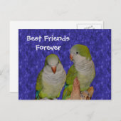 Briefkaart beste vrienden voor dierenkuiken (Voorkant / Achterkant)