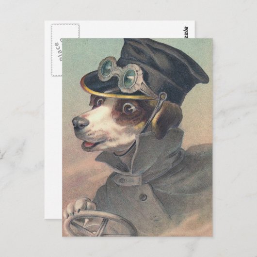 briefkaart " bestuurdershond" (Voorkant / Achterkant)