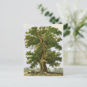 Briefkaart bewerkbare  eikenstructuur (Staand voorkant)