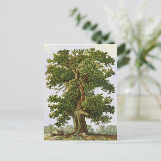 Briefkaart bewerkbare  eikenstructuur (Staand voorkant)