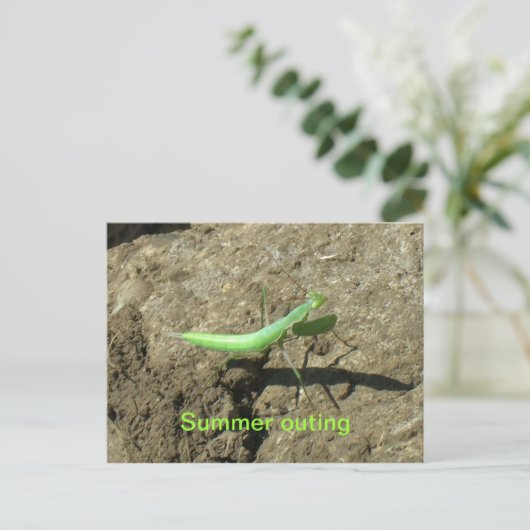 Briefkaart - bidsprinkhaan (Staand voorkant)