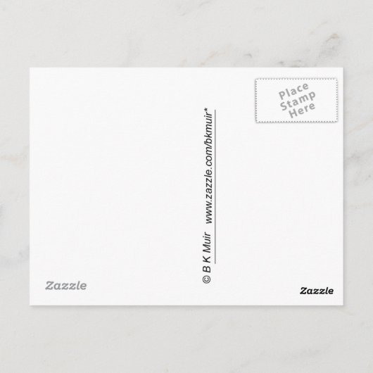 Briefkaart - bidsprinkhaan (Achterkant)