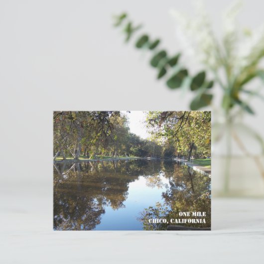 Briefkaart Bidwell Park (Staand voorkant)