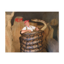 Briefkaart Big Snake QLD Australië