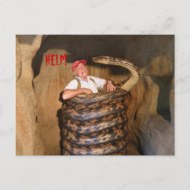 Briefkaart Big Snake QLD Australië