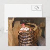 Briefkaart Big Snake QLD Australië Large Snake (Voorkant / Achterkant)