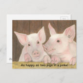 Briefkaart biggen (Voorkant / Achterkant)