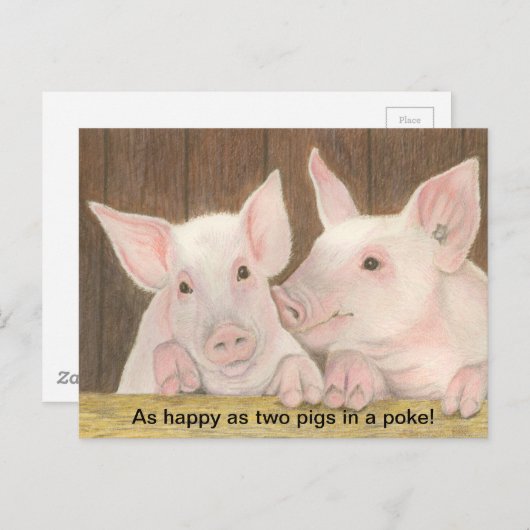 Briefkaart biggen (Voorkant / Achterkant)