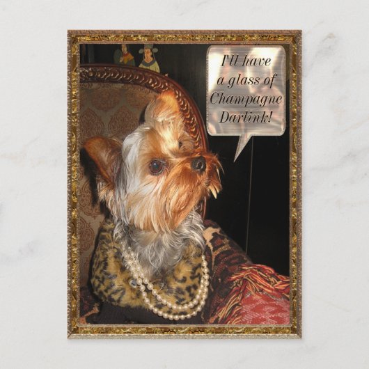  Briefkaart bij nacht partij (Voorkant)