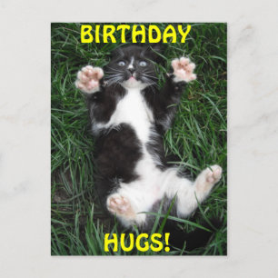 Briefkaart Birthday Hugs