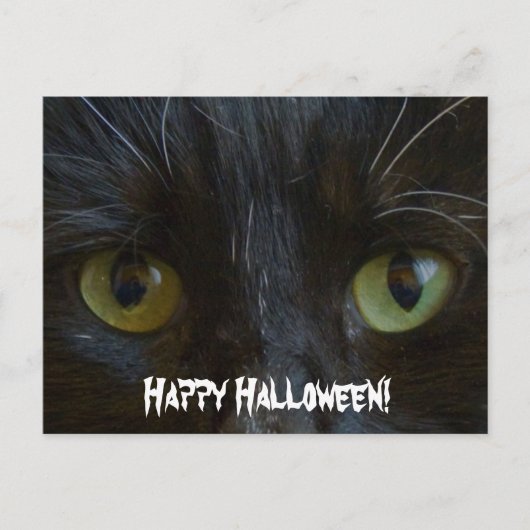 Briefkaart: Black Cat Eyes Briefkaart (Voorkant)