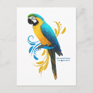 Briefkaart Blauw en gouden Macaw