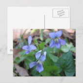 Briefkaart Blauw geweld (Voorkant / Achterkant)