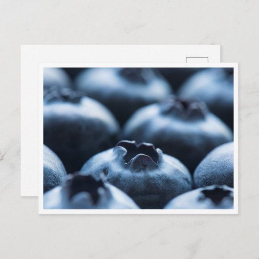 Briefkaart - Blauwe bessen (Voorkant / Achterkant)