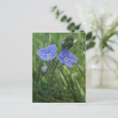 Briefkaart Blauwe Bloemen (Staand voorkant)