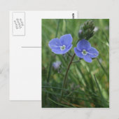Briefkaart Blauwe Bloemen (Voorkant / Achterkant)