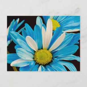 Briefkaart blauwe bloemen