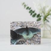 Briefkaart Blauwe Butterflies (Staand voorkant)