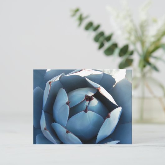 Briefkaart blauwe cactus (Staand voorkant)
