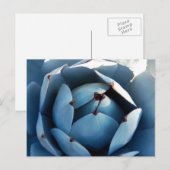 Briefkaart blauwe cactus (Voorkant / Achterkant)