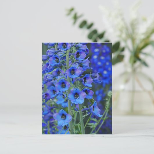 Briefkaart Blauwe Delphiniums (Staand voorkant)